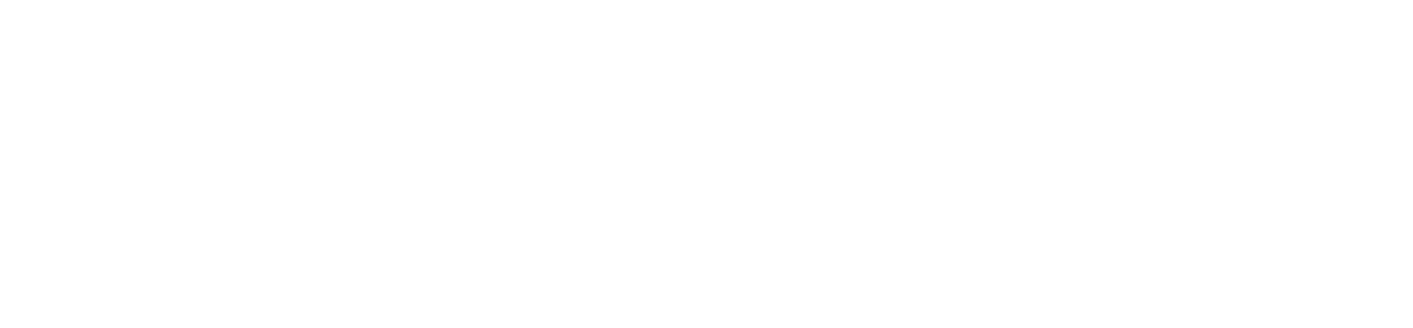 Valex Logo